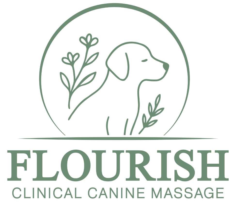logo containing an image of a dog and some flowers within a circle, and the company name flourish clinical canine massage